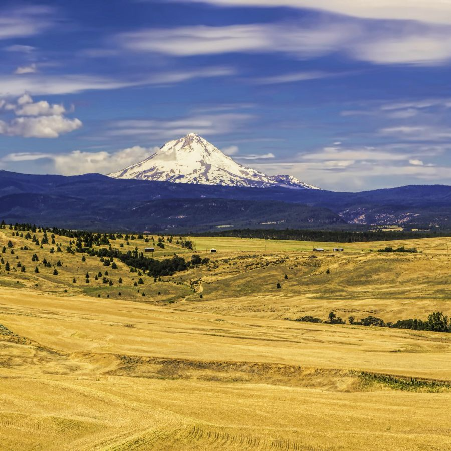 oregon country